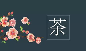 老子有钱lzyq88官网之家宜昌店业务部发展关于茶艺知识培训